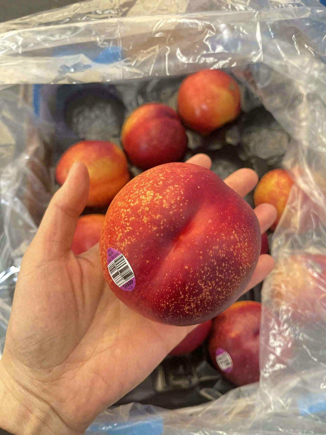 澳洲油桃，一口便能吃到南半球的桃香🍑 水 配图1