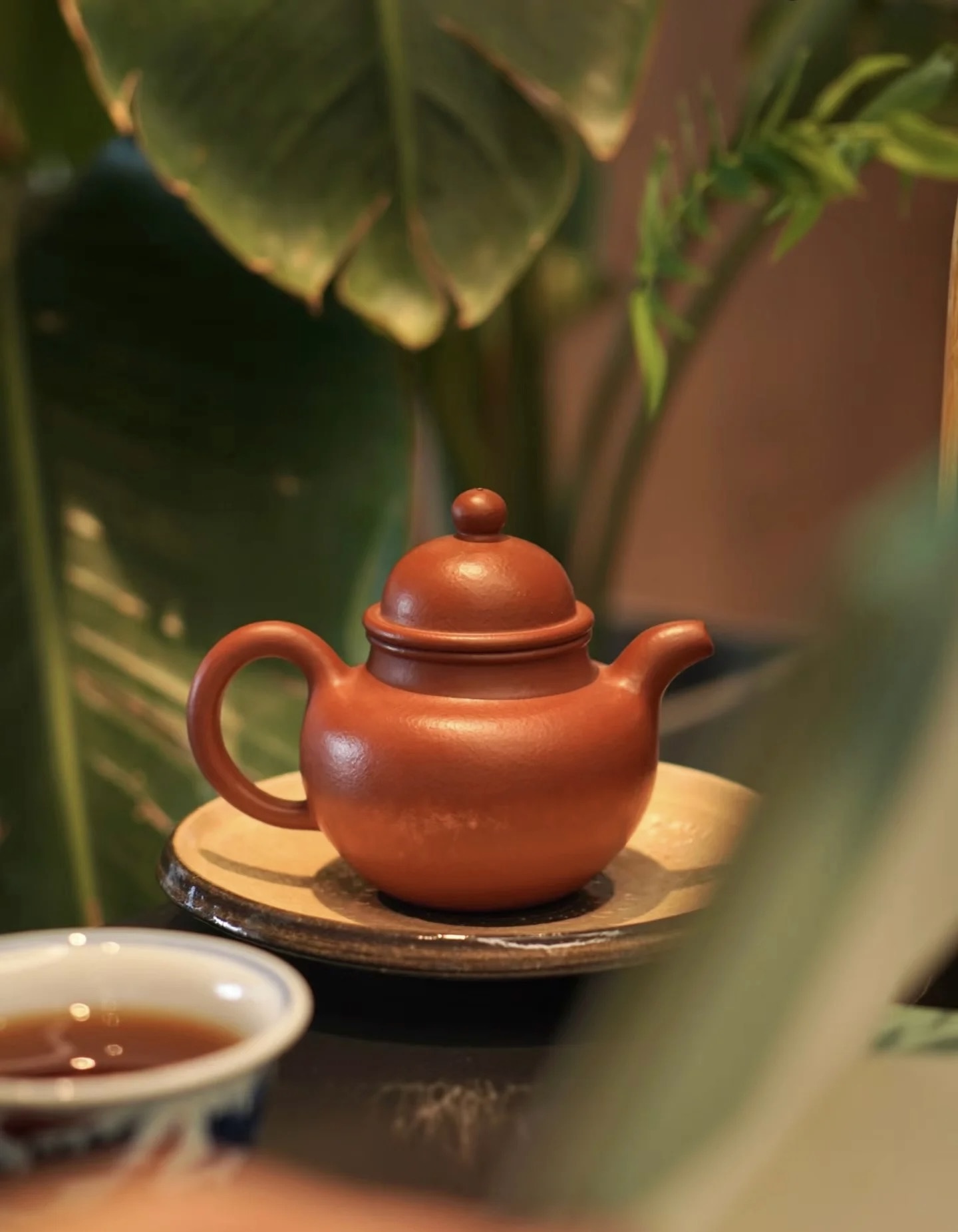 🔥优质茶叶，等您来品鉴！清新的香气，让人 配图2