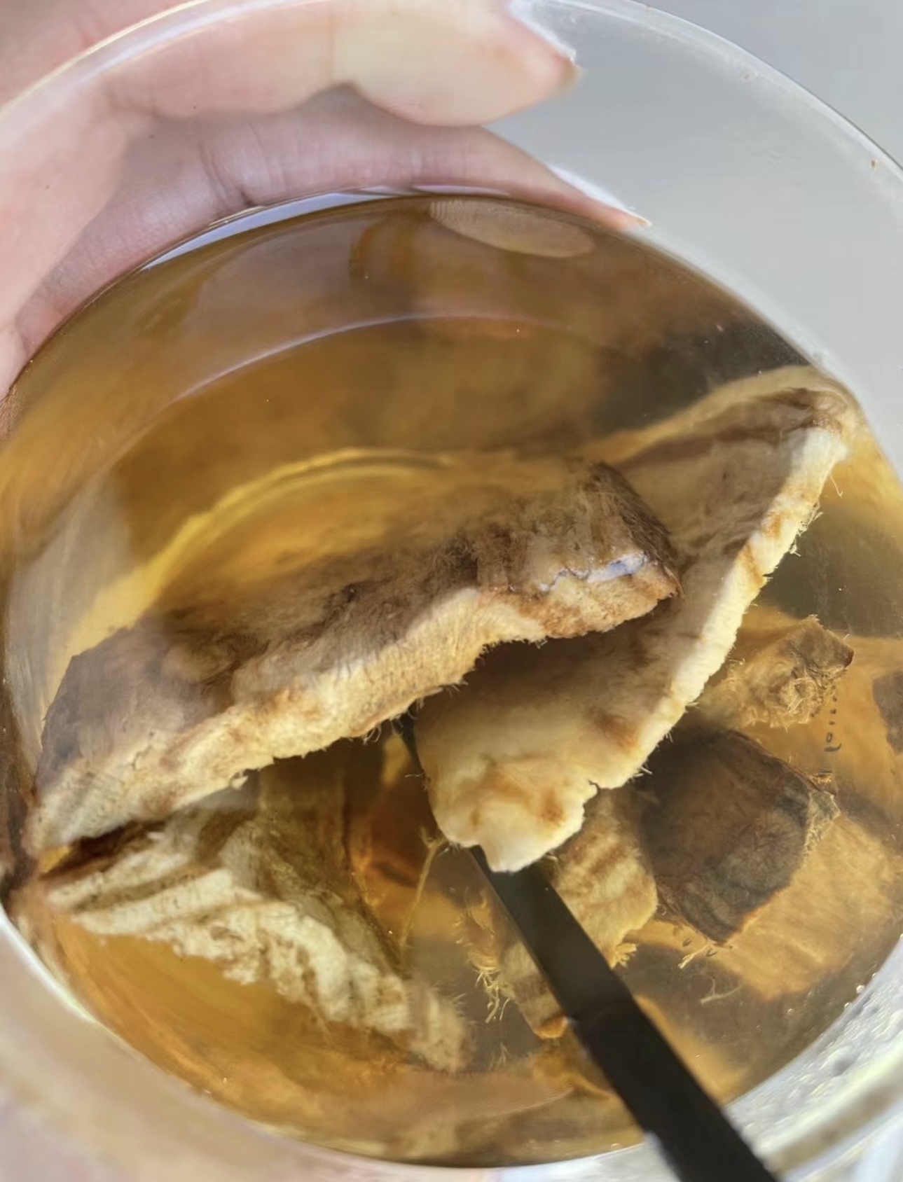 在这平凡又特别的一天，邂逅一杯葛根茶。它 配图1