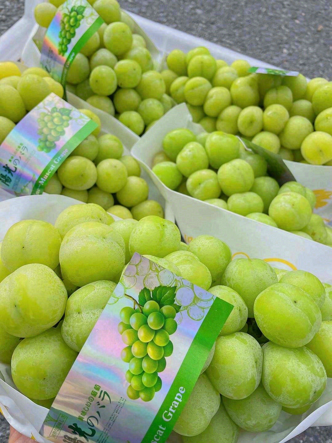 🍇所有写甜的文案～都不配不上它——特级阳 配图3