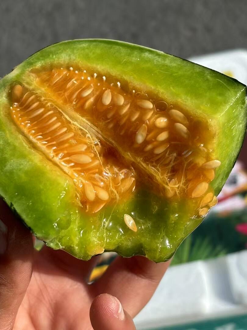 春天☀的香瓜，暖阳笼罩☔的屋檐 博洋九给 配图2