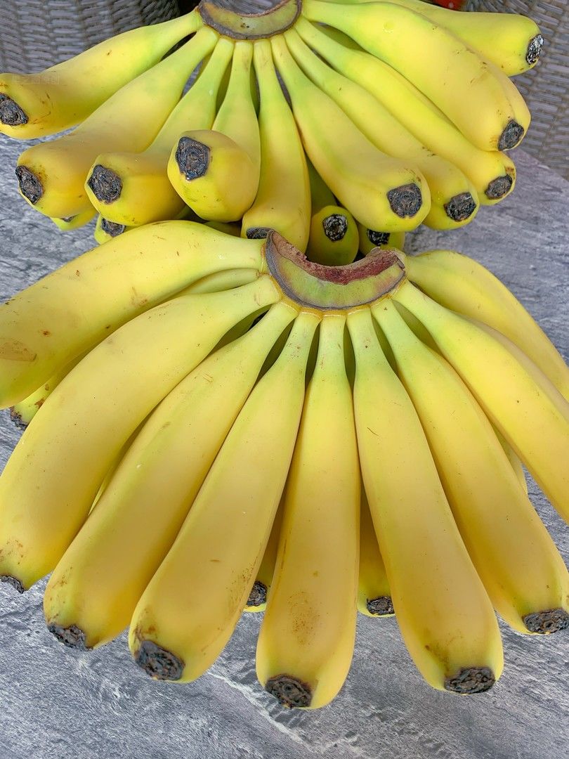 🍌“多巴胺小巨人” 咱家的菲律宾香蕉甜度 配图3