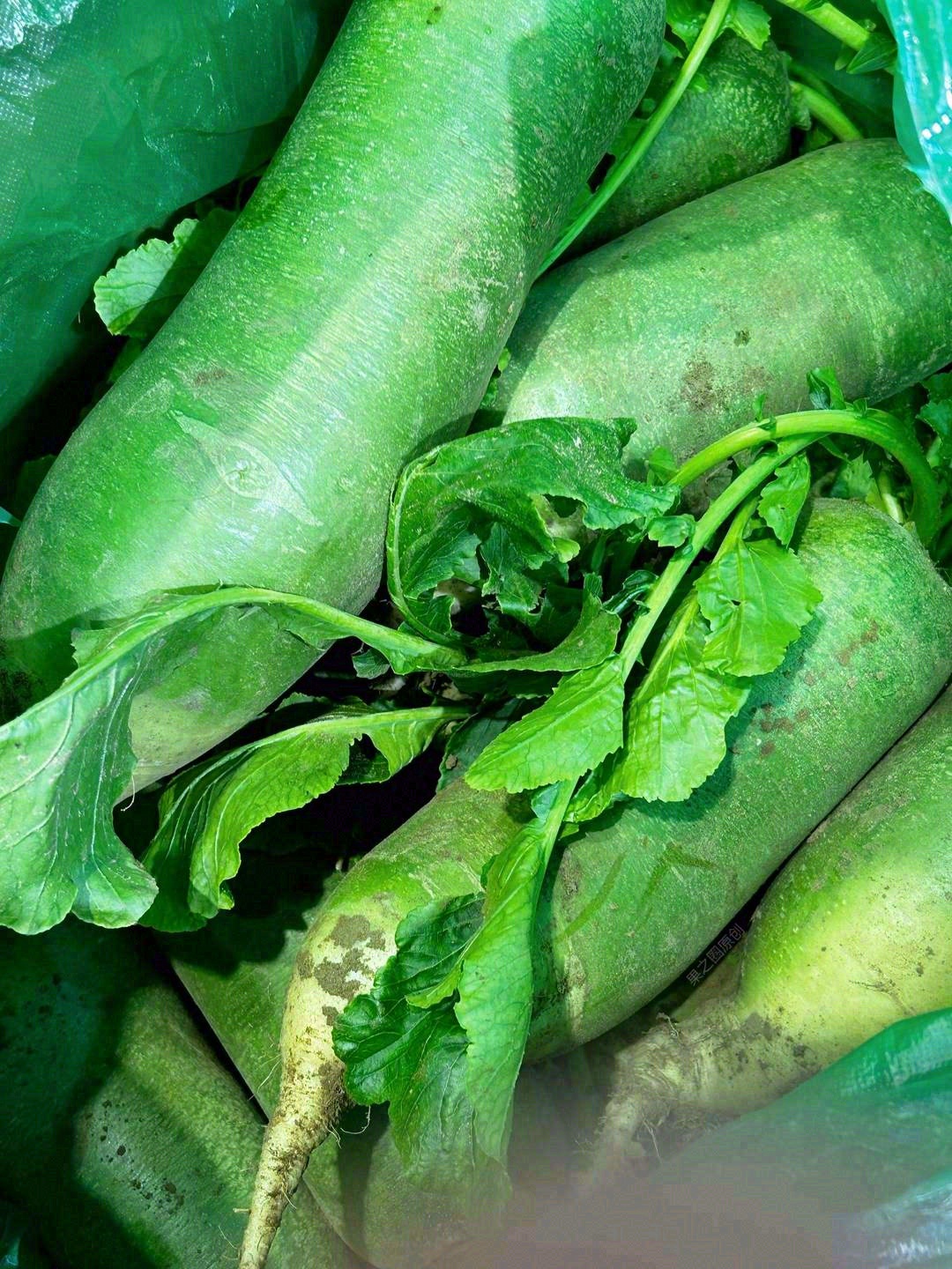 冬日里的零食“水果萝卜”🥒 来一口，嘎嘣 配图3