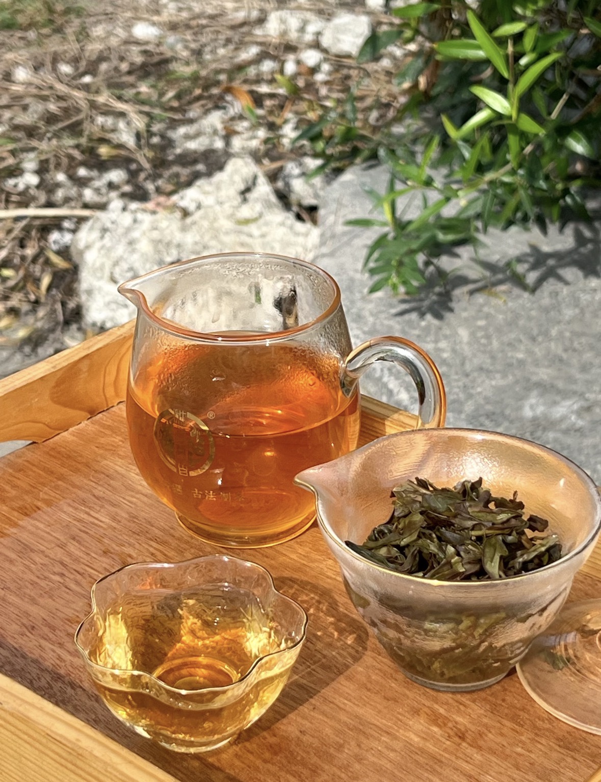 马蹄踏春归，单丛迎福来。愿新岁平安喜乐， 配图2
