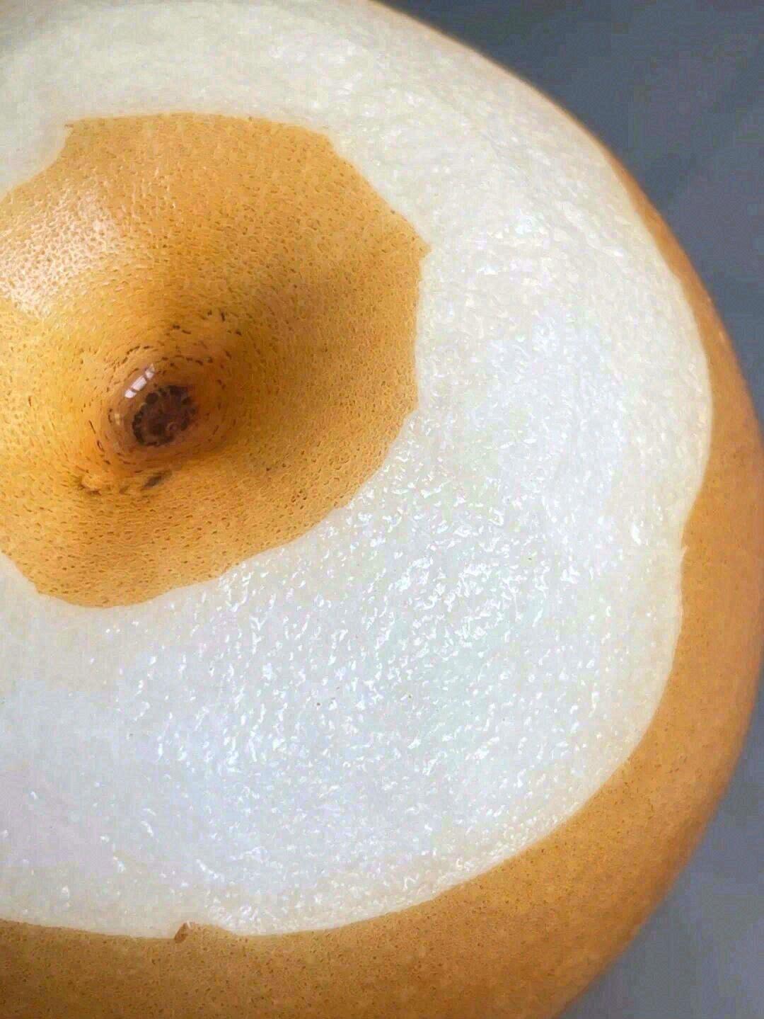 🌈人生的快乐，一半都藏在食物里 秋天的快 配图1