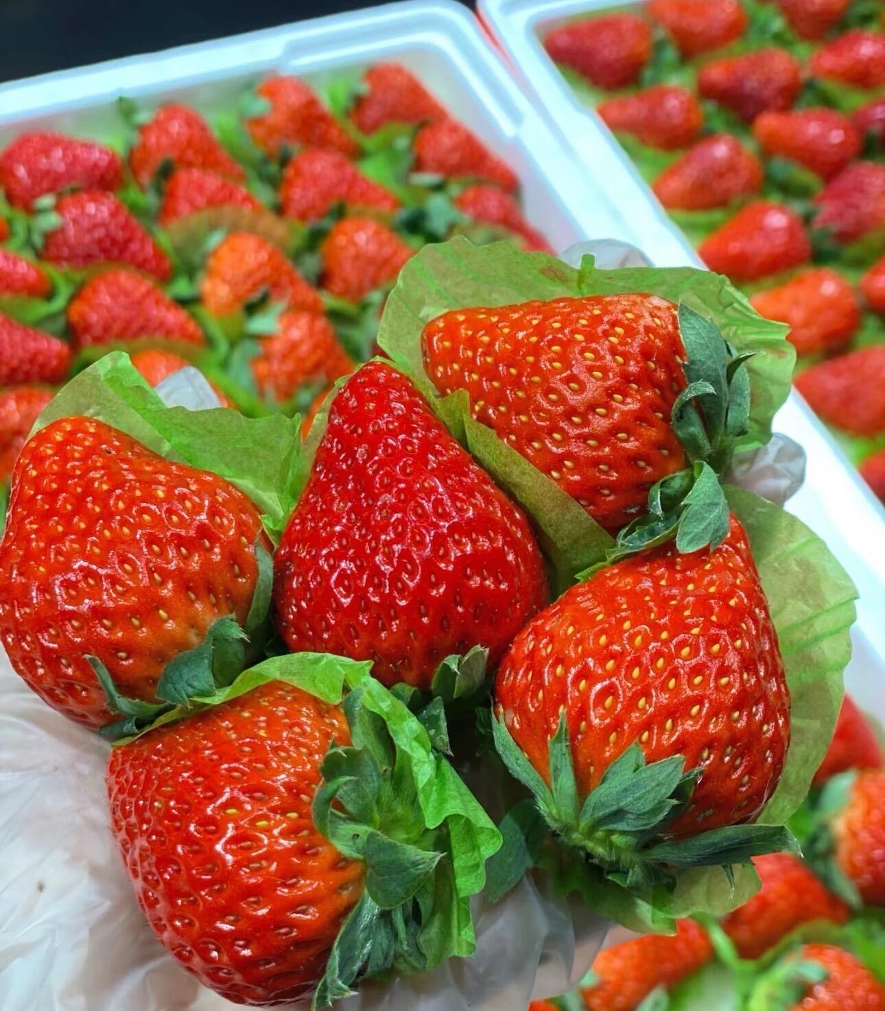 冬天一定是草莓味的🌈今日红颜草莓🍓大颗粒 配图2