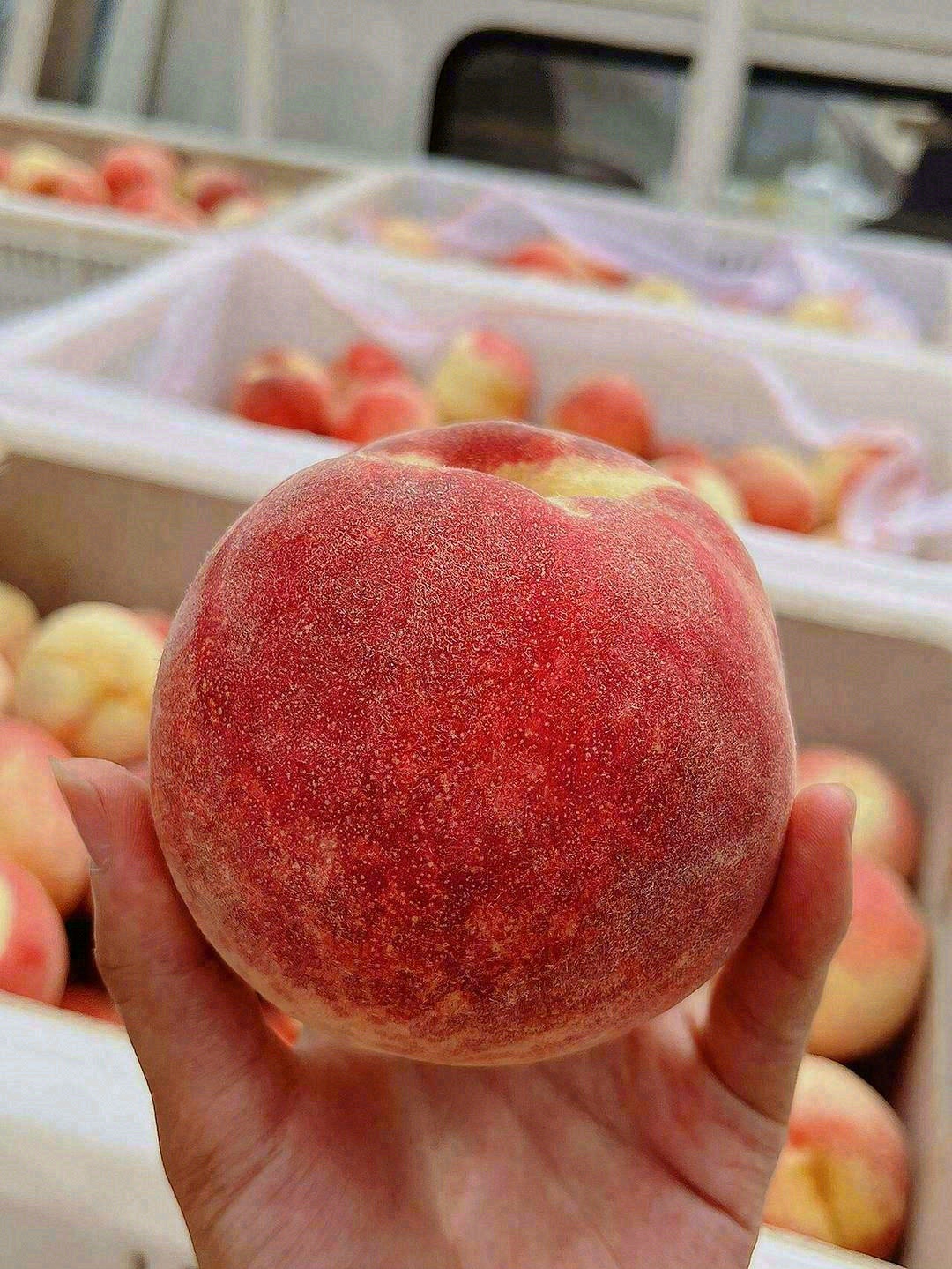 😊白里透红的桃子像刚出生婴儿的皮肤🍑粉嘟 配图2