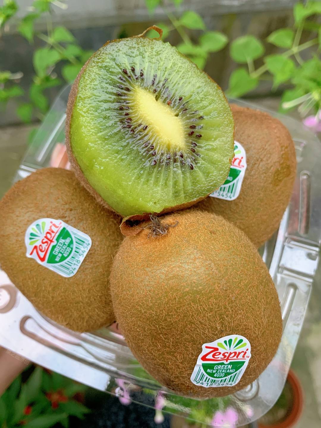 🥝9分甜，1分酸的佳沛奇异果 是被太阳亲 配图2