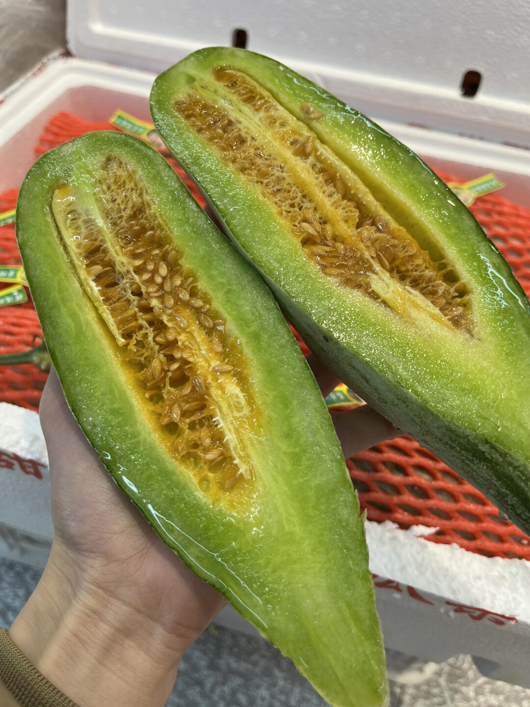 【羊角蜜】甜瓜🥒 ‼️‼️👉吃瓜群众👈‼ 配图3