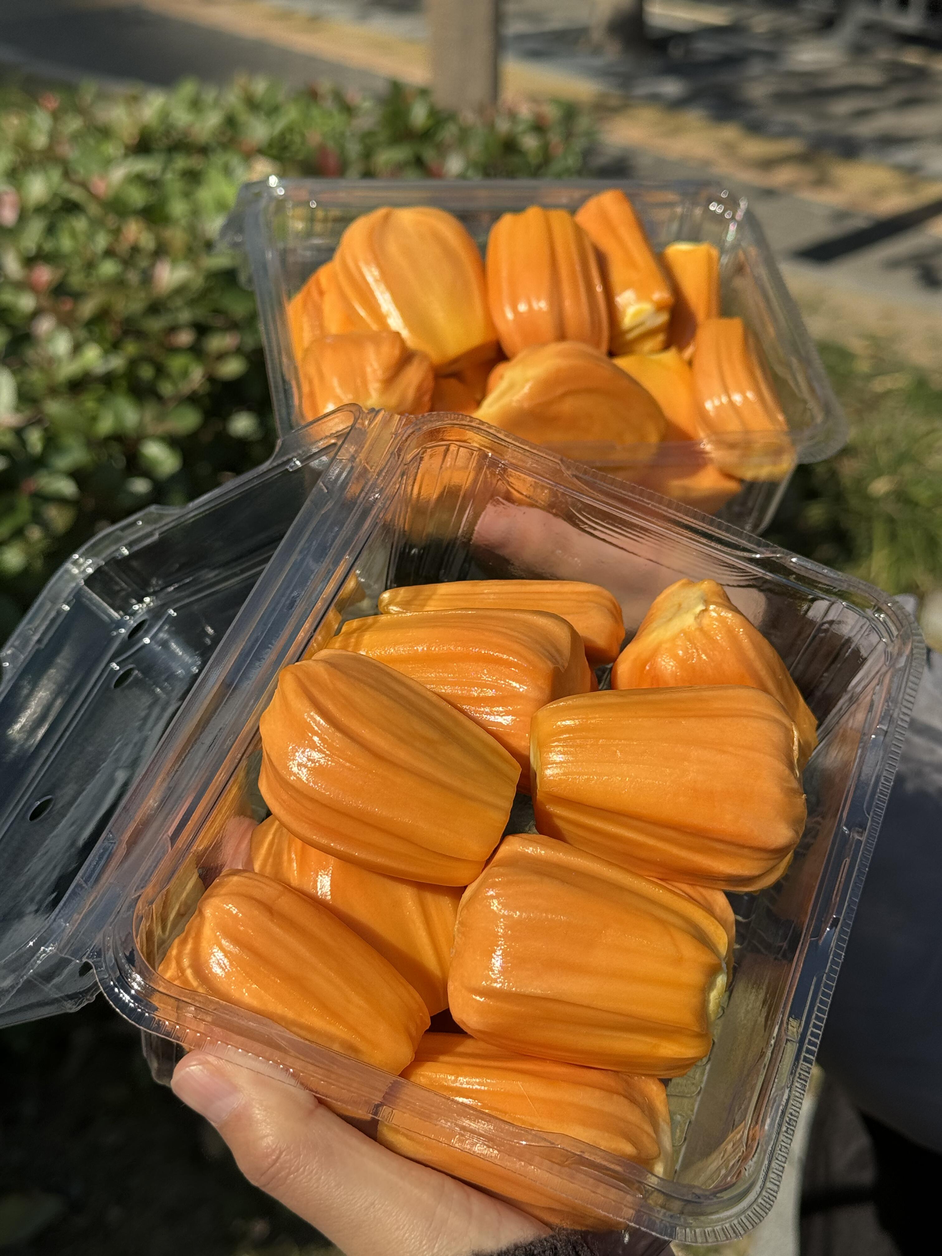 特级红肉菠萝蜜新鲜开剥咯😍！ 香甜~香甜 配图1