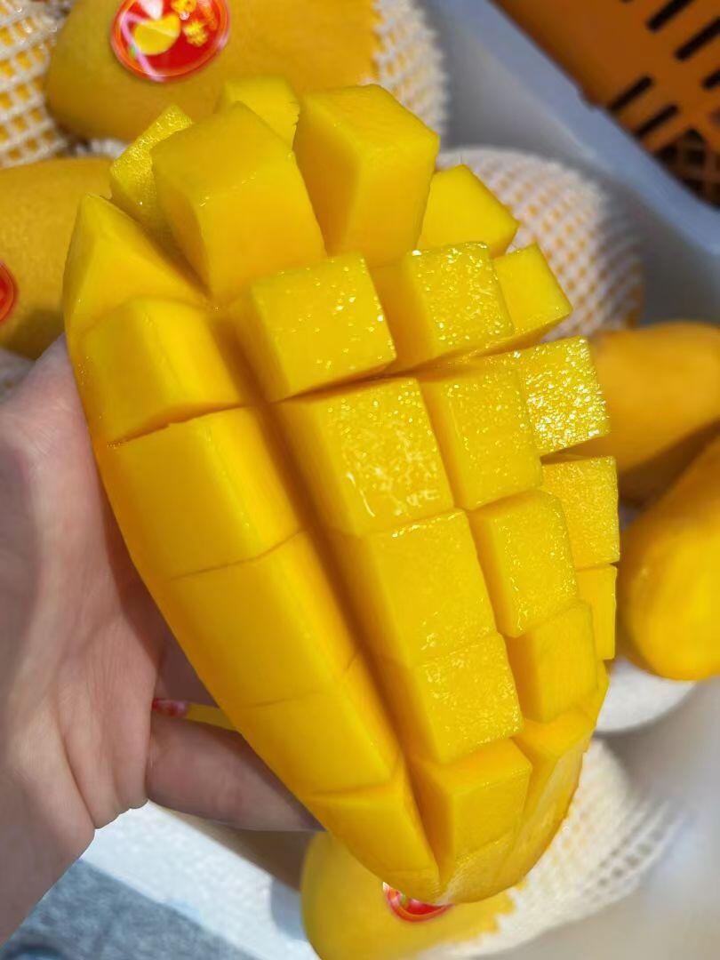 ❤️新鲜美味的水仙芒😋 ⭐️芒果中的佼佼 配图2
