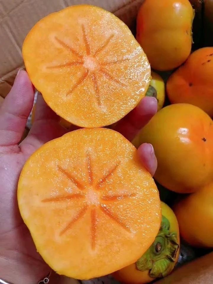 🥰脆柿真的好神😎秋天就是柿子的季节！咬一 配图3