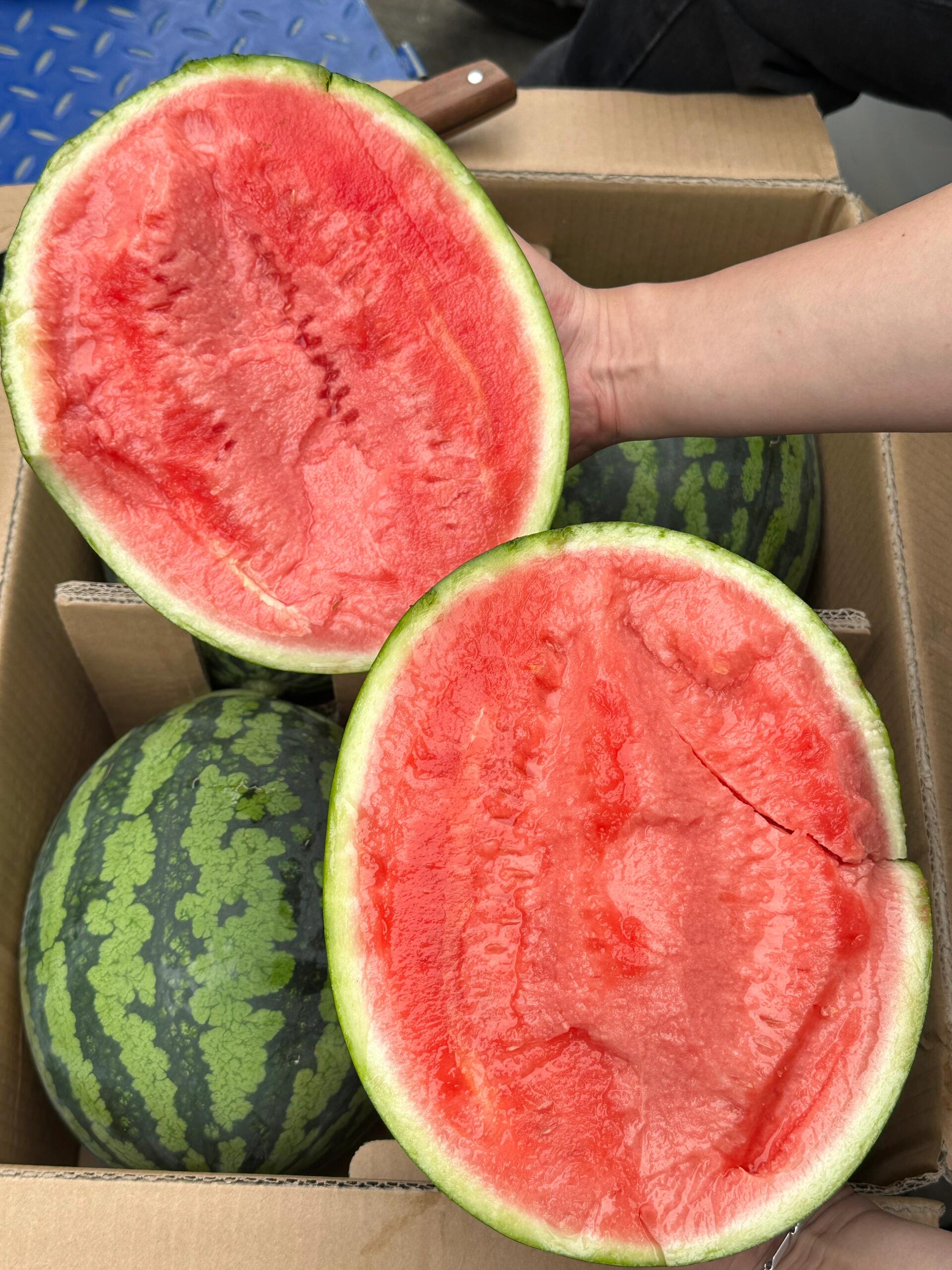 🍉瓜肉粉红，纤维少 一口脆甜，肉多汁💦， 配图1