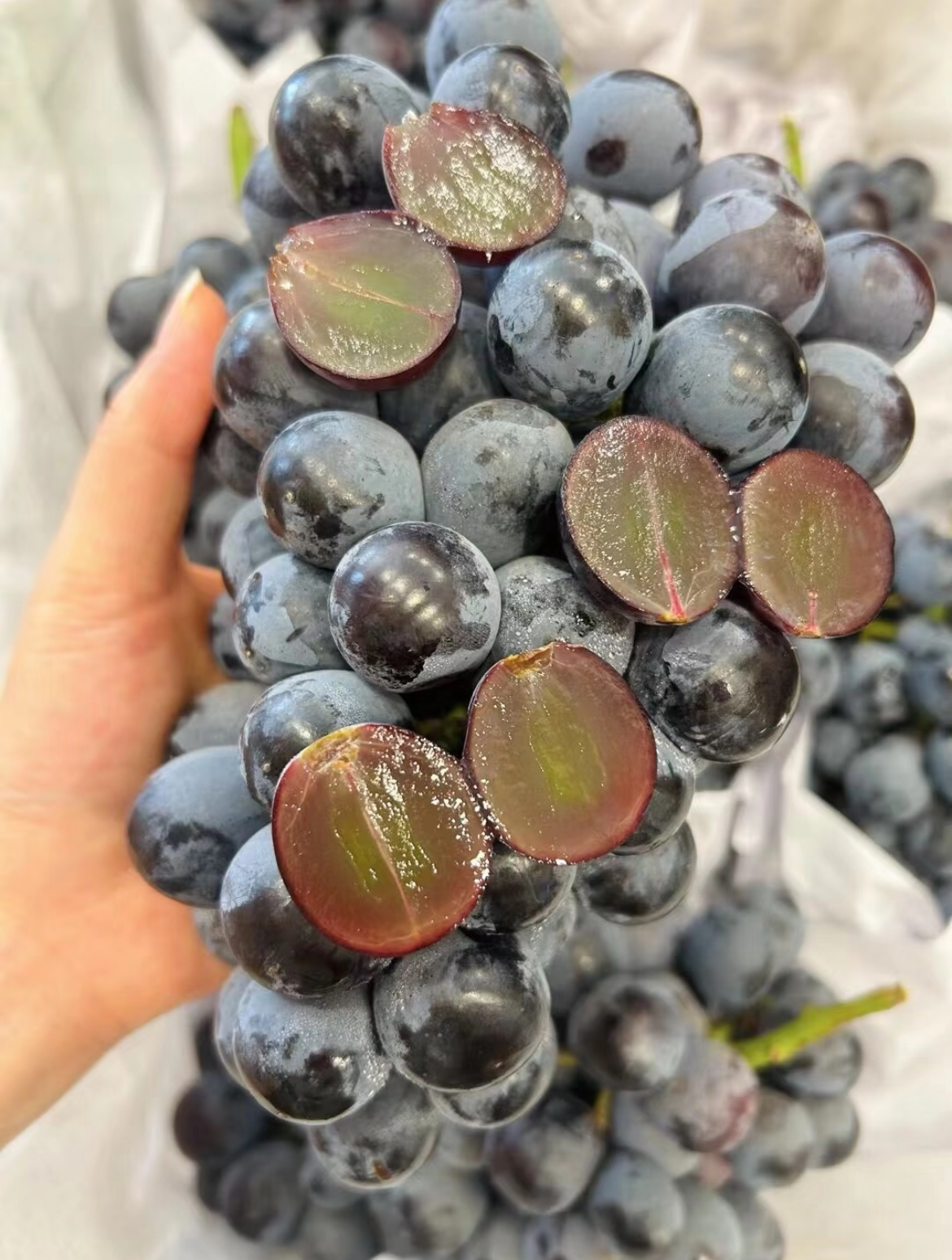 ❤️当季夏黑葡萄🍇 全年光照满格☀️，果 配图3