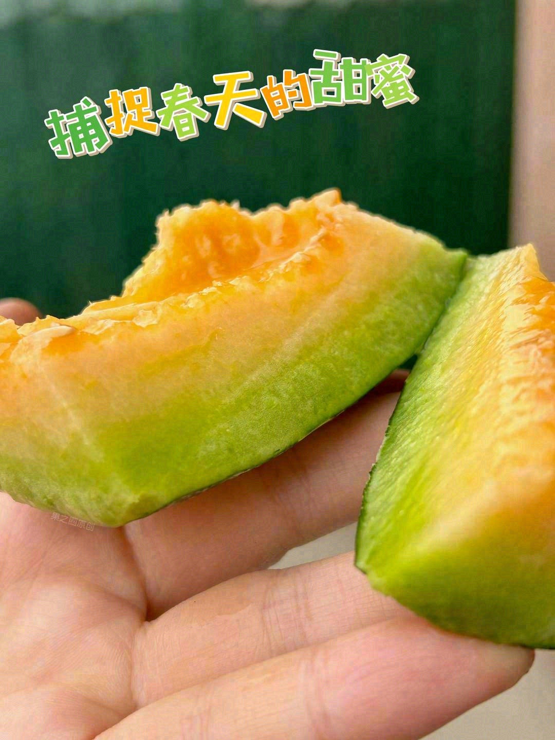 像博洋蜜这样的瓜，真是为减肥而生的💃 低 配图2