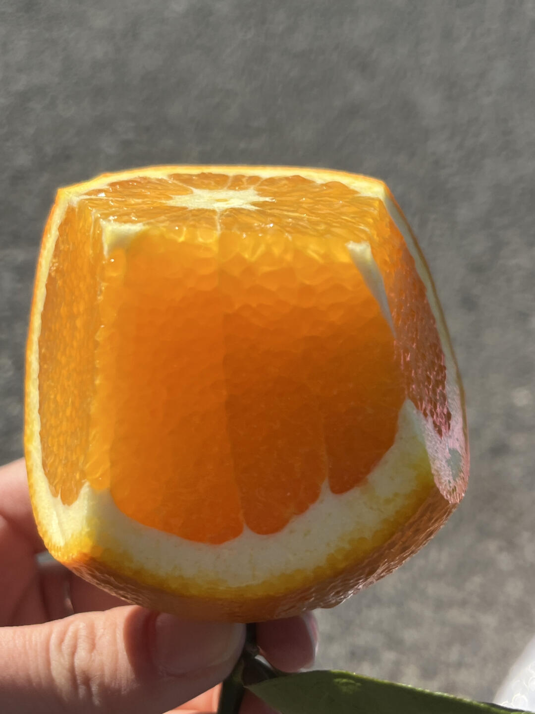 赣南脐橙🍊 一个，两个，连吃三个都不够👏 配图1
