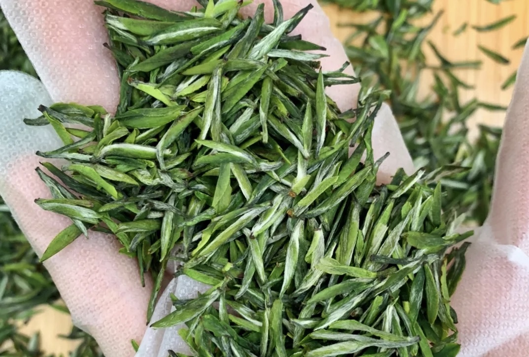 不是所有的茶，都叫"雨花茶"一杯茶的诞生 配图1