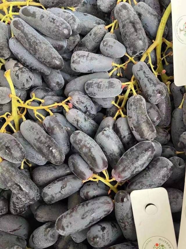 🇦🇺澳洲金手指黑提🍇 外形像萌萌的小茄子 配图3
