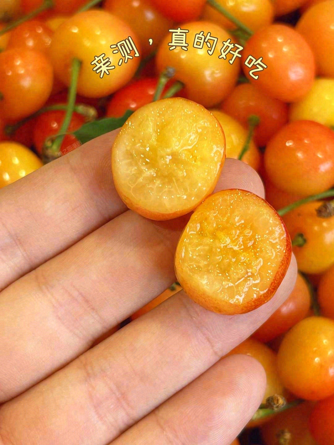 ✨汁水饱满，肉厚核小，口感爽脆💥 入口清 配图1