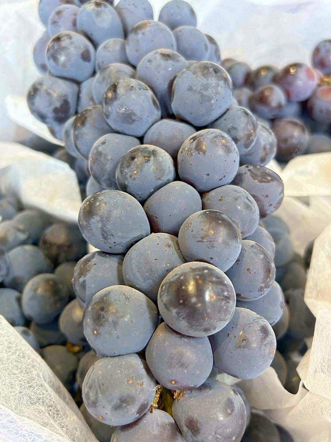 🍇 夏黑葡萄来啦！ 果粒饱满，果肉脆甜， 配图3