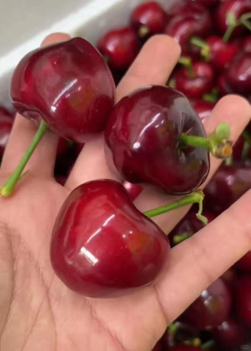 这个樱桃谁懂啊！！！🍒有的路，你必须自己 配图1