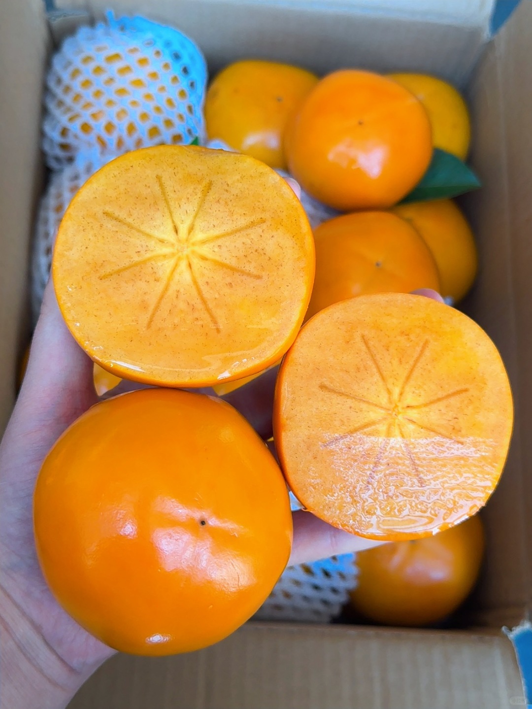 🌱 生活需要一点小仪式感✨ 每日鲜果，简单而丰盛🍎🍌🥝 无论 配图6