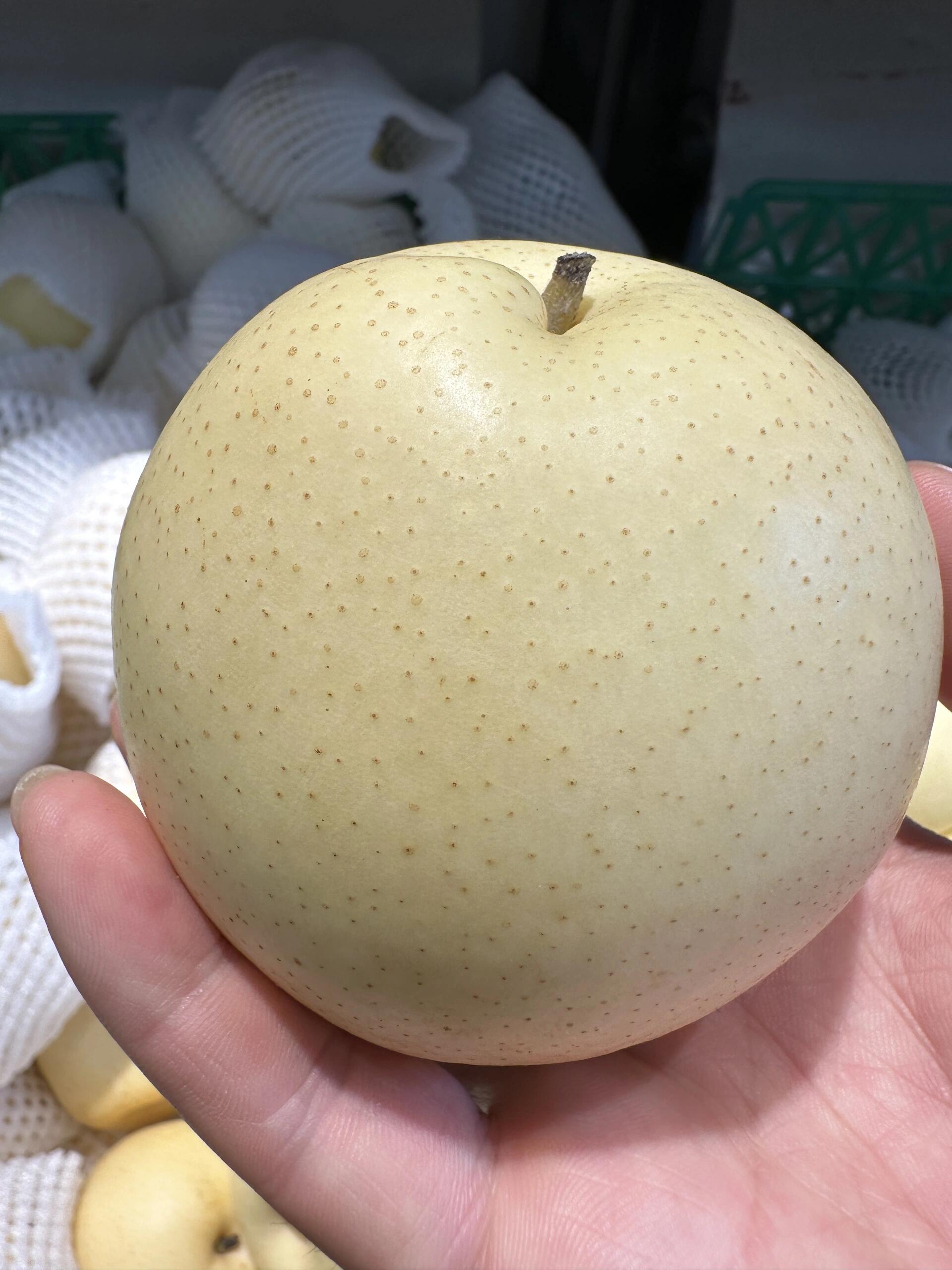 🍐 皇冠梨脆甜多汁！ 果型端正个头大👑看 配图2