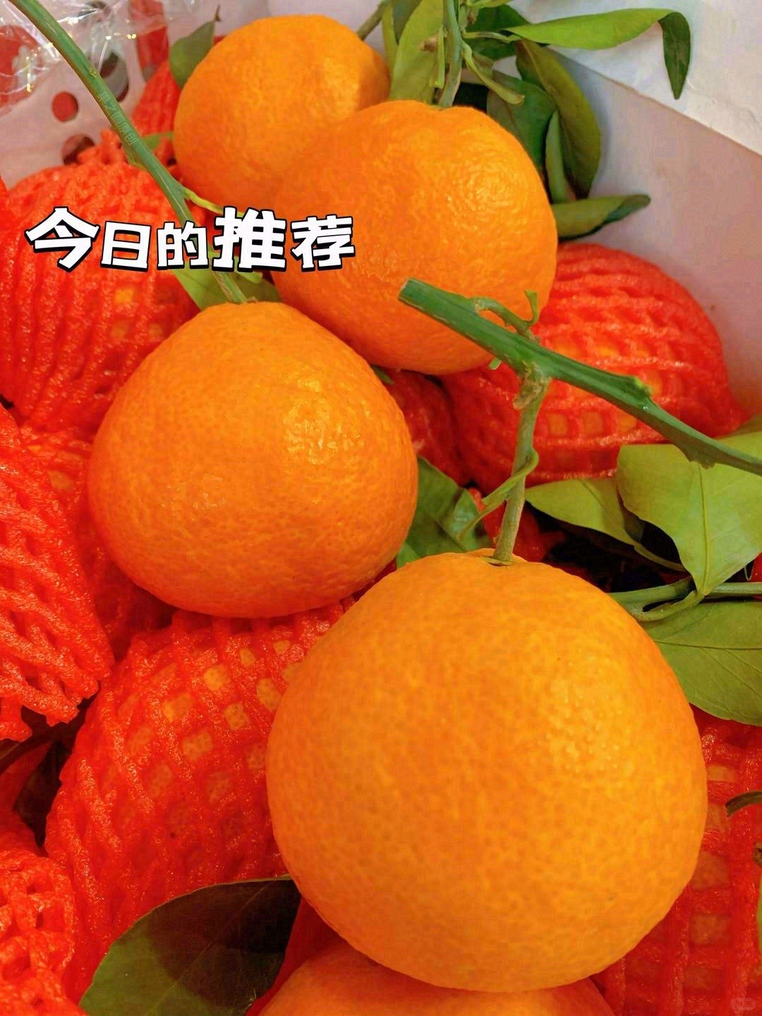 🍊爱媛橙清甜爆汁 果皮薄易剥，吃着不费劲 配图3