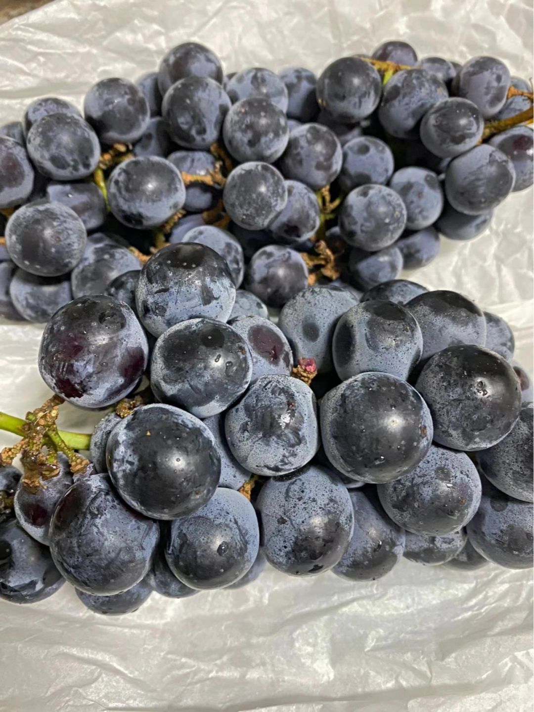 🌿这个时候怎么能少的了蓝莓葡萄🍇呢？ 满 配图3