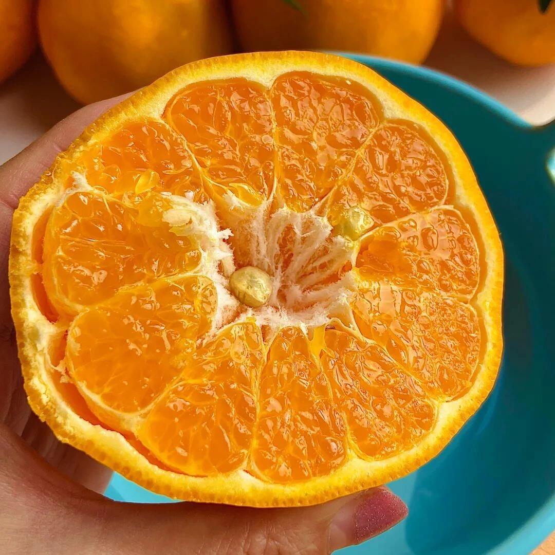 🍊春见耙耙柑 不管你的城市吹风下雪， 我 配图1