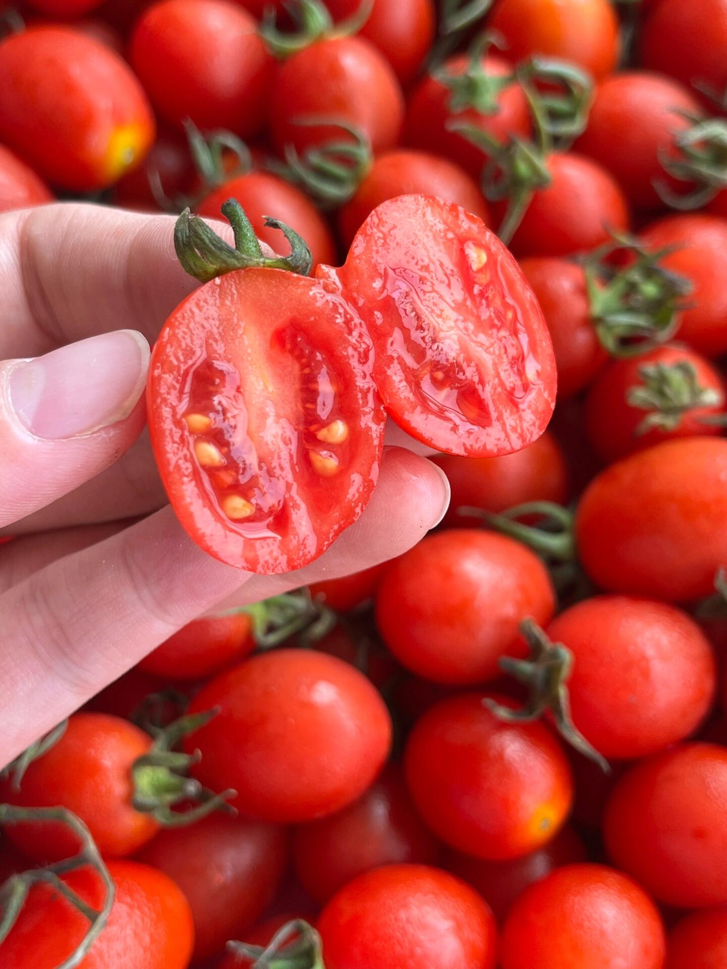新货到家【玲珑千禧🍅】 翠绿翠绿的果叶🍃 配图1