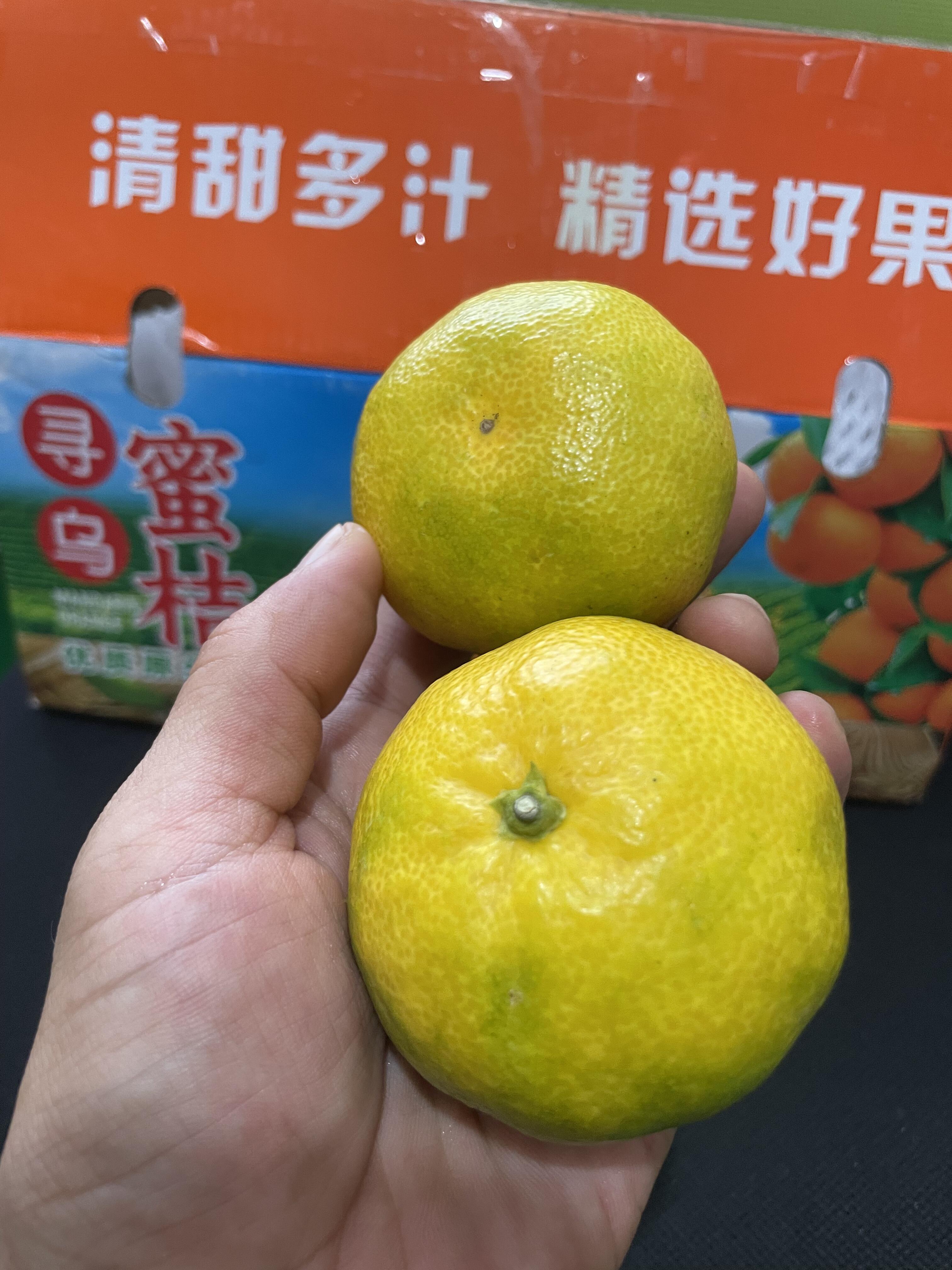 🌈你吃过这么甜的橘子吗寻乌蜜橘🍊 口感超 配图3