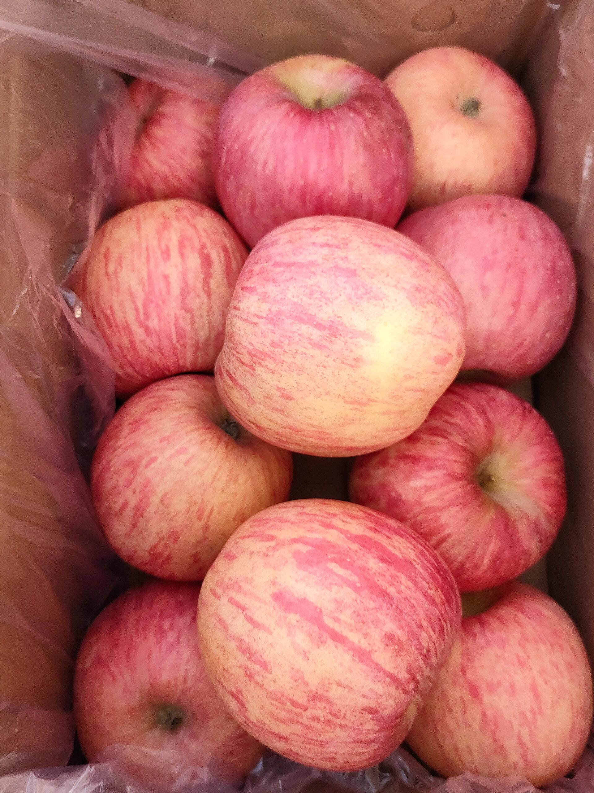 洛川富士苹果🍎 最吸引人的是果香😍😍 捧 配图3