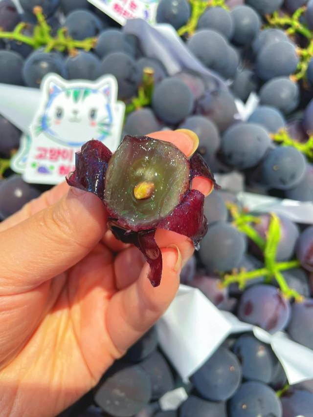 🍇 多肉的巨峰葡萄🍇 😍口感Q嫩，果肉水 配图1