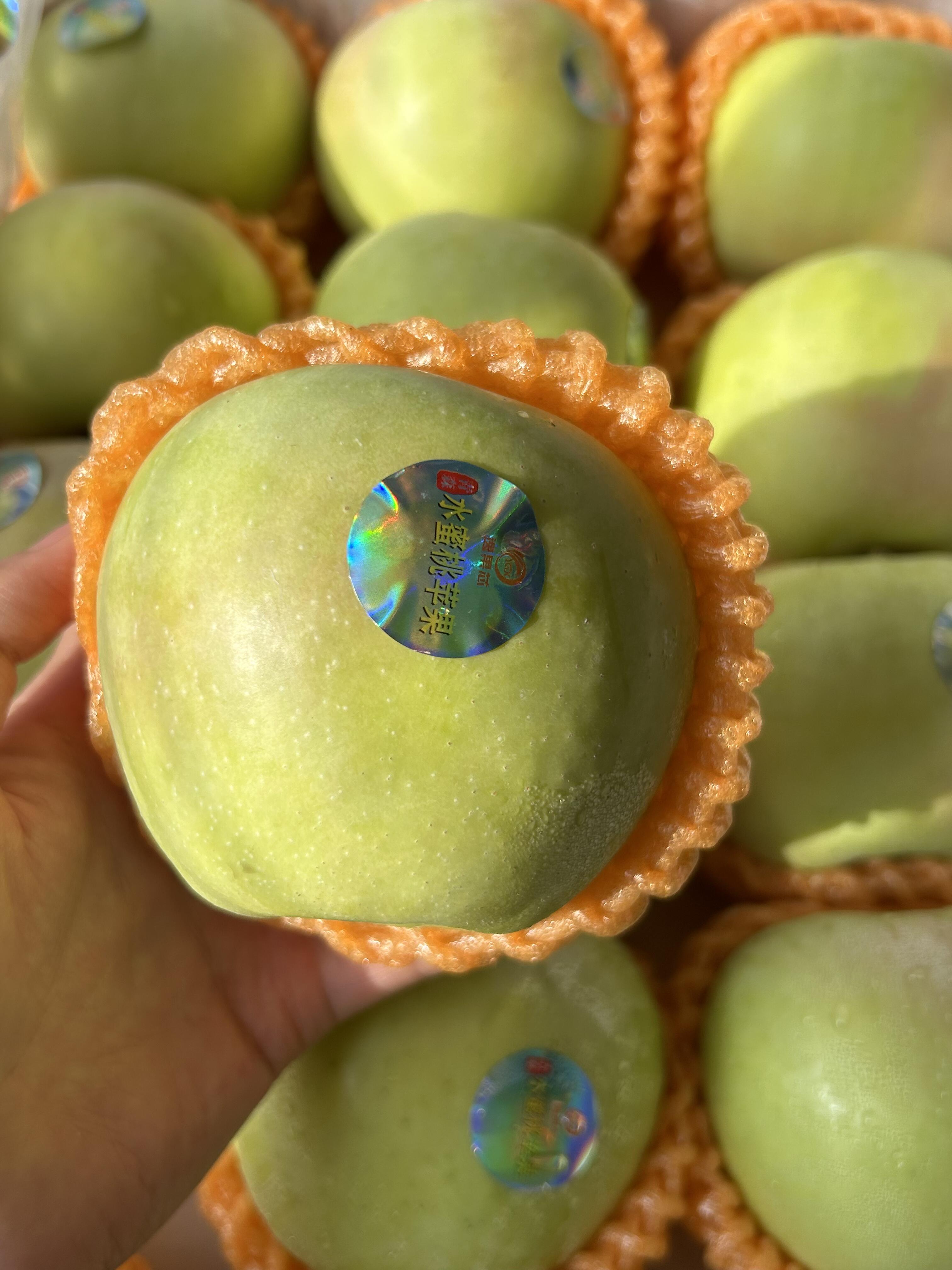 你吃了么？🙋秋天的第一个青苹果🍏 自带雀 配图1