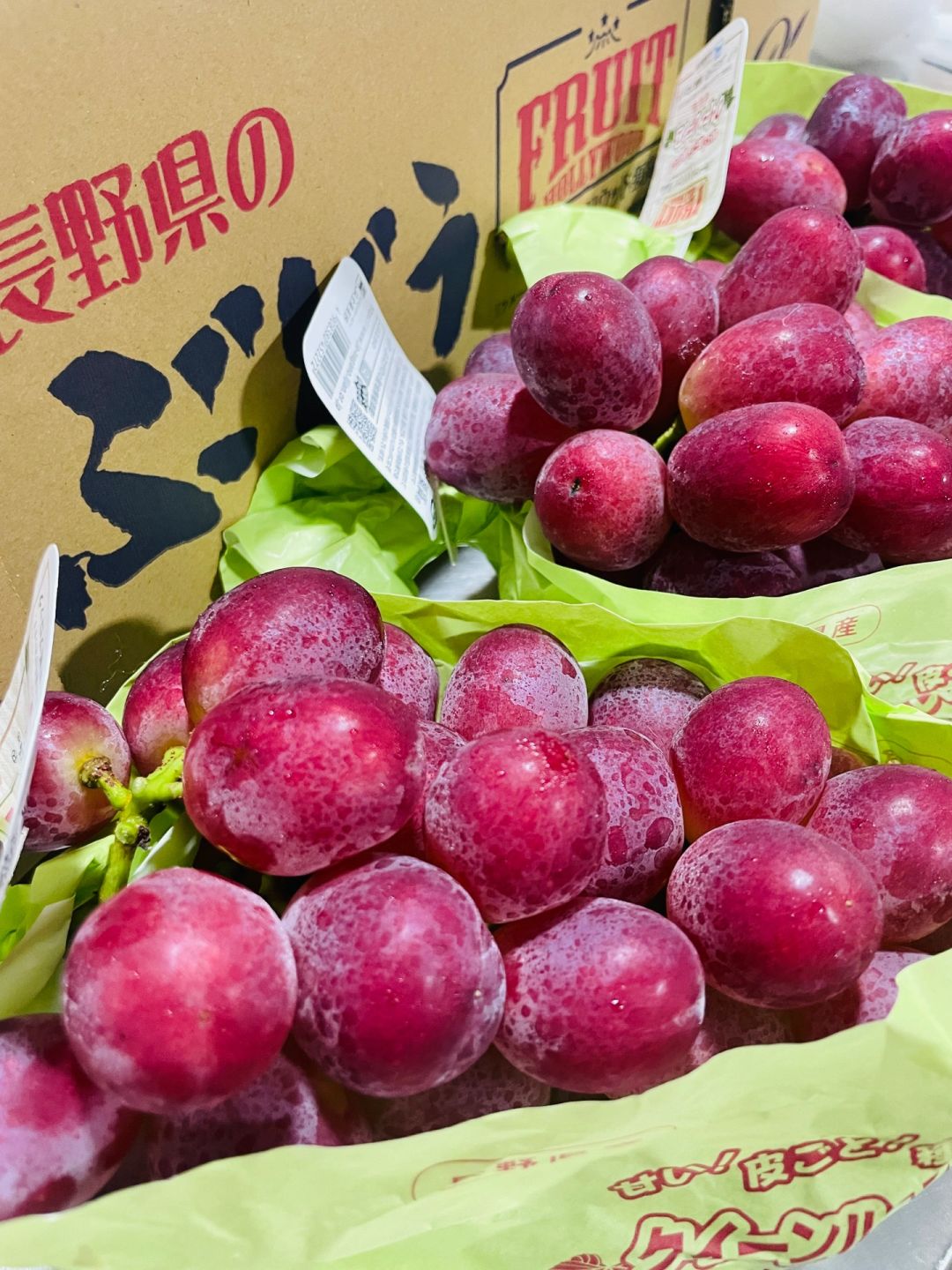 胭脂皇后妃红提👑🍇 每年仅微量登场的天花 配图3