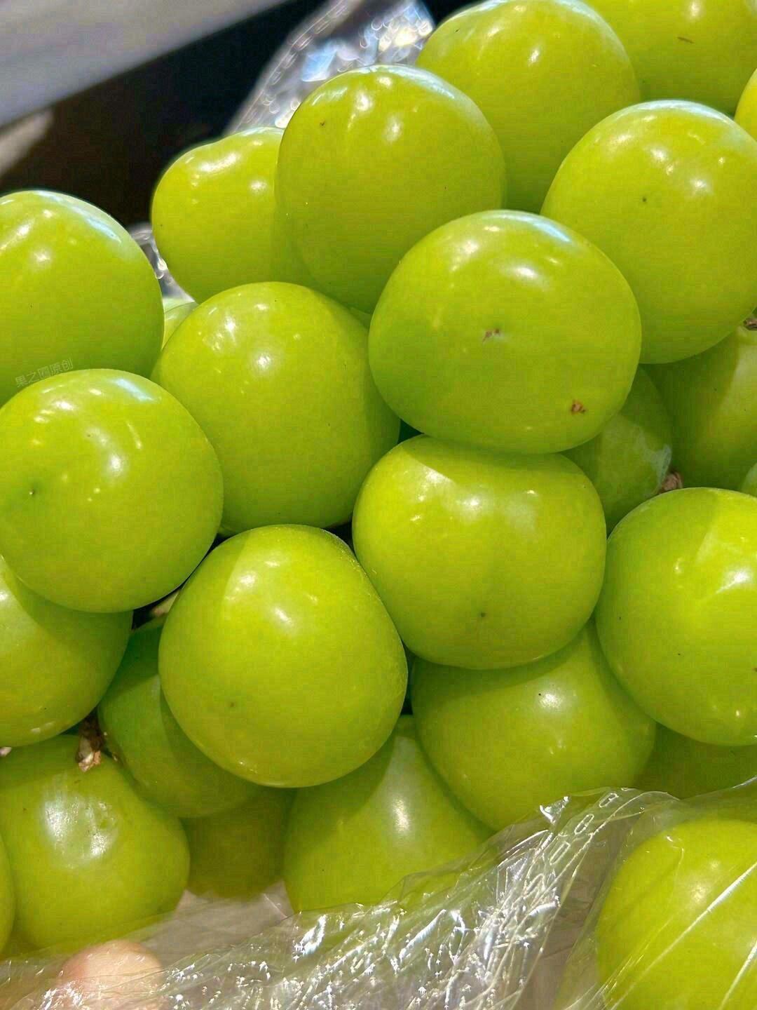 🥰这抹绿太夏天了💚💚香印晴王💚颜值和实力 配图1