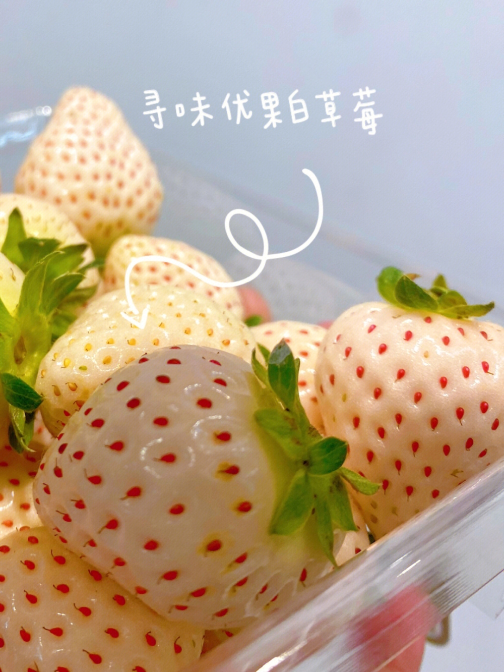白色恋人白草莓，寻味优果草莓季吃点不一样 配图3