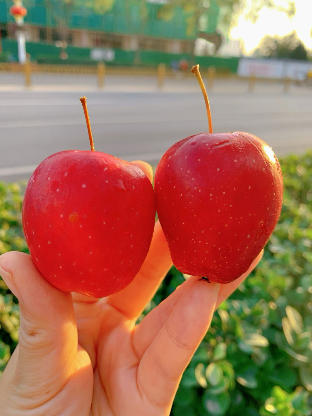 🍎放在手心里，大小刚刚好 适合给👶小朋友 配图3