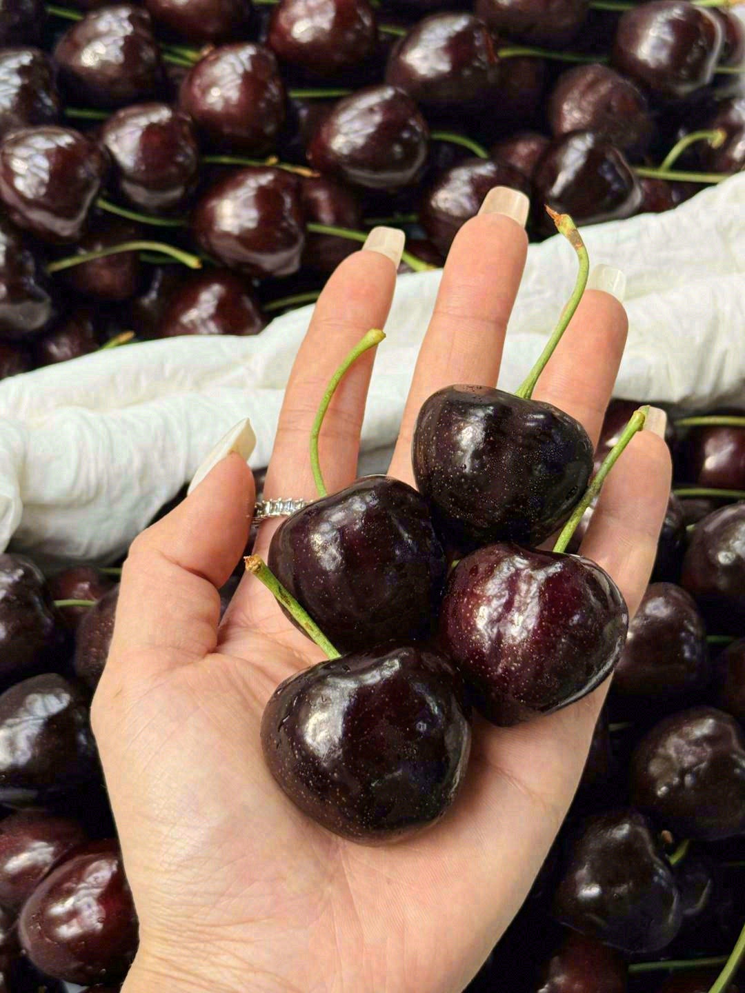 🍒入夏第一个小仙物 🦋吸足了春夏的阳光🔆 配图2