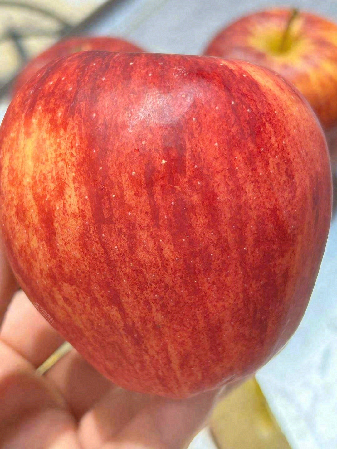 红彤彤的苹果🍎🍎 小巧可爱，颜色亮丽 一 配图2