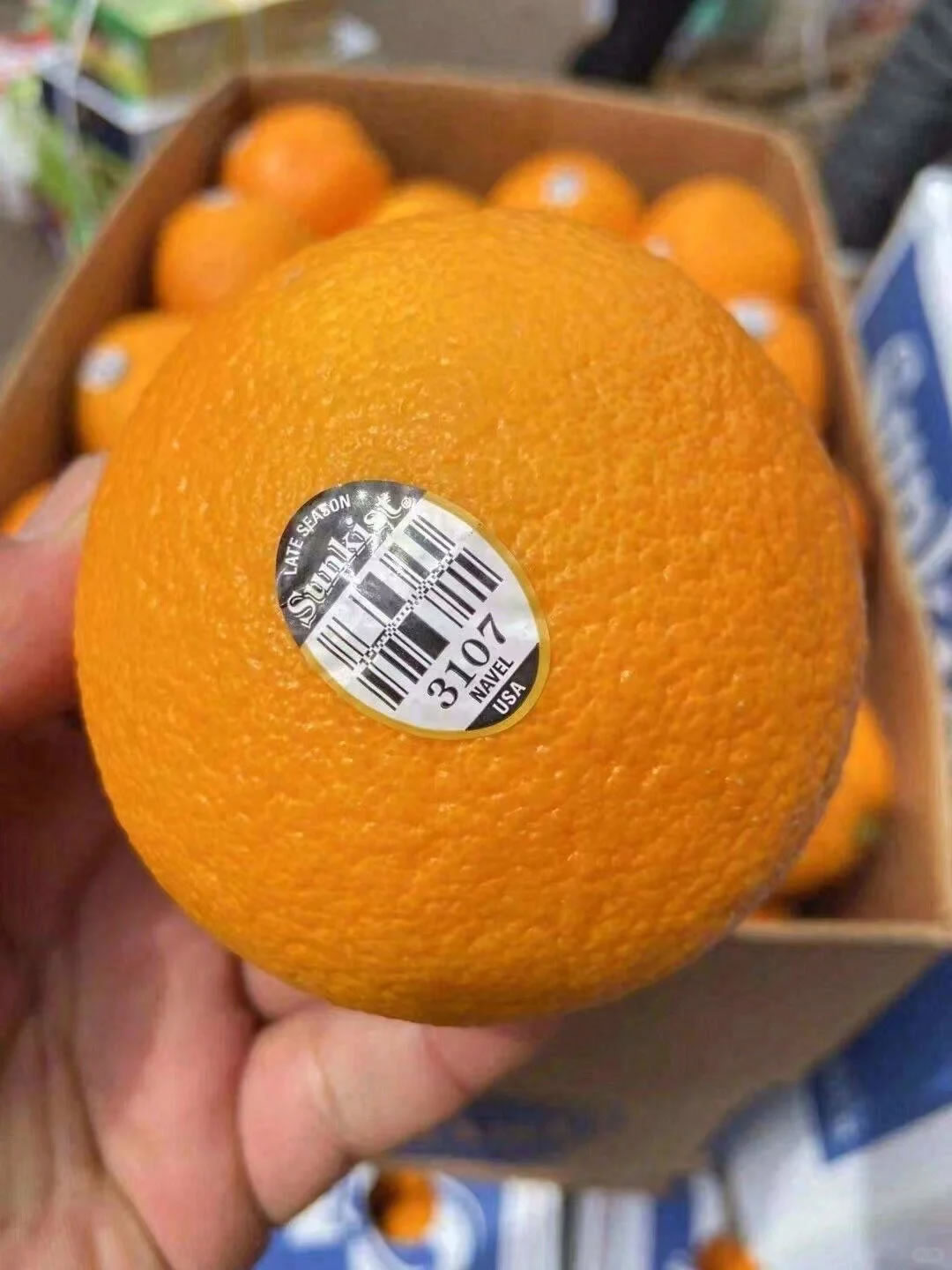 【正宗美国新奇士3107黑标橙】 🍊！橙 配图2