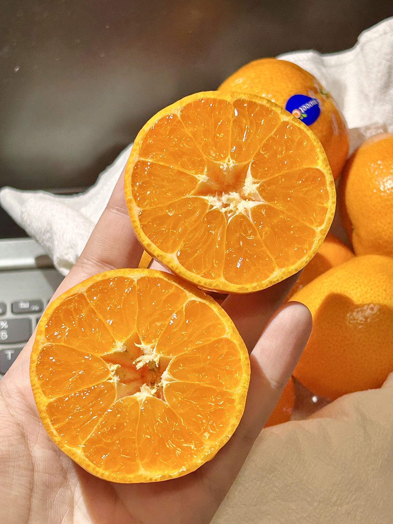 🎈南非软皮柑以其“色泽鲜艳，甘甜爽口，  配图1