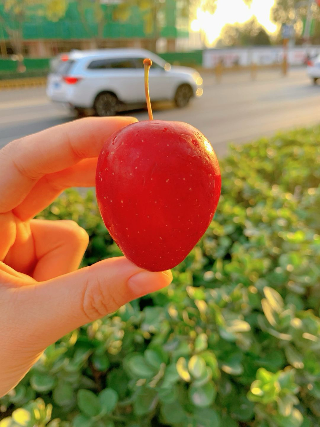🍎放在手心里，大小刚刚好 适合给👶小朋友 配图1