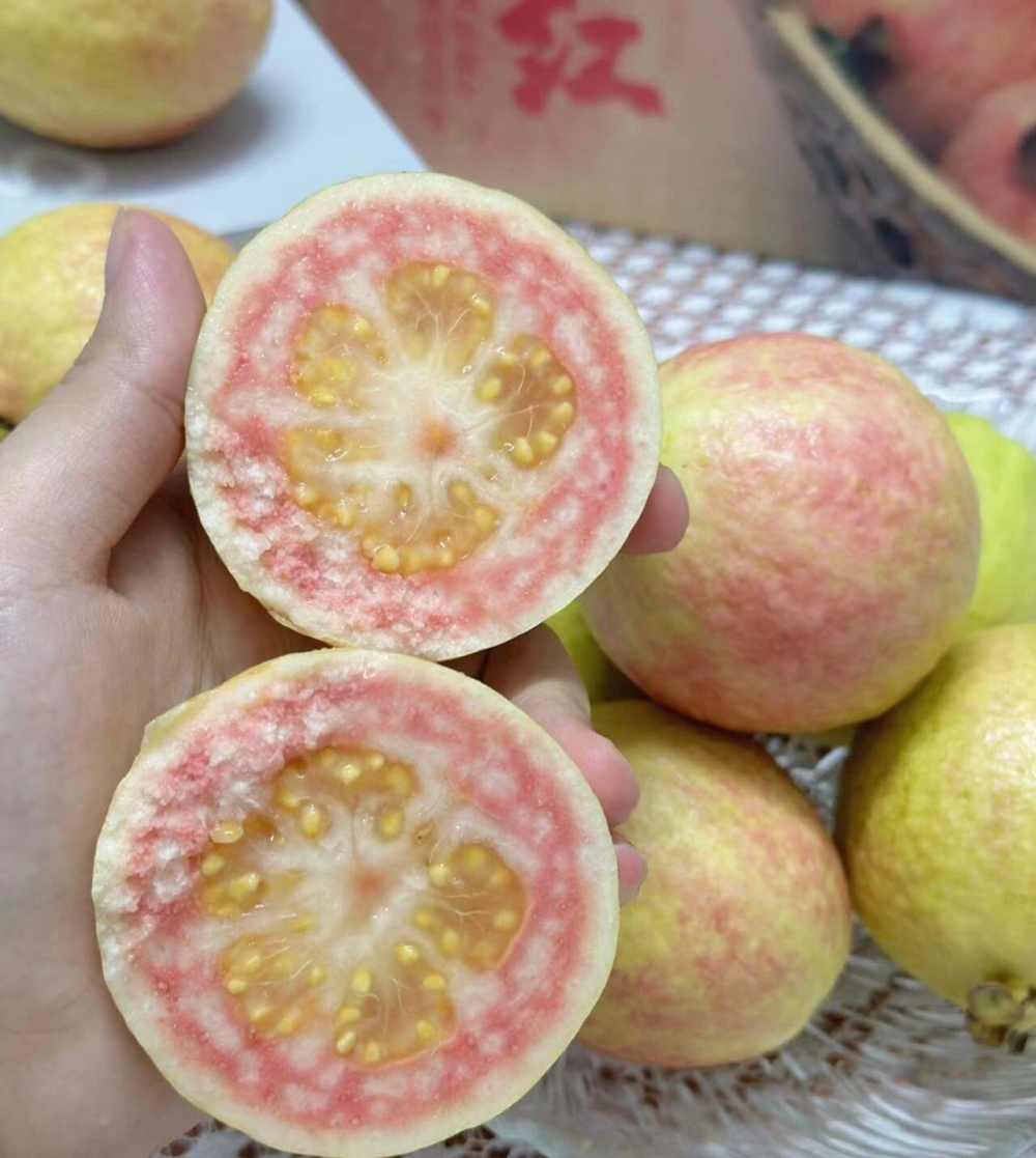 胭脂红芭乐香迷糊了😍软软糯糯的胭脂红芭乐 配图1