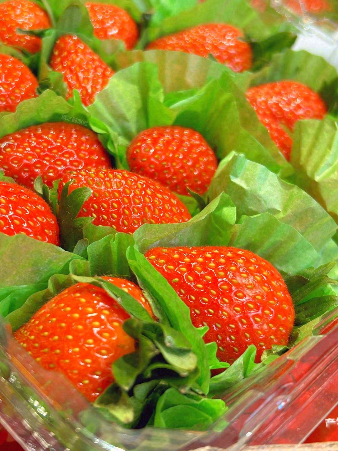 草莓🍓应该拥有的样子！ 怡颗莓草莓，细腻 配图2