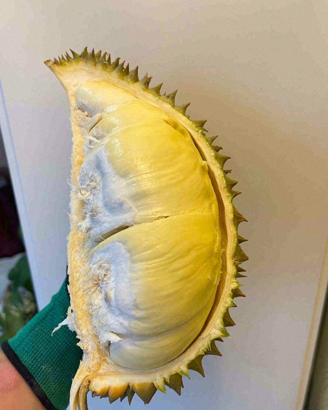🌳树上熟，干包肉🌕，简直是榴莲精转世👶！ 配图2
