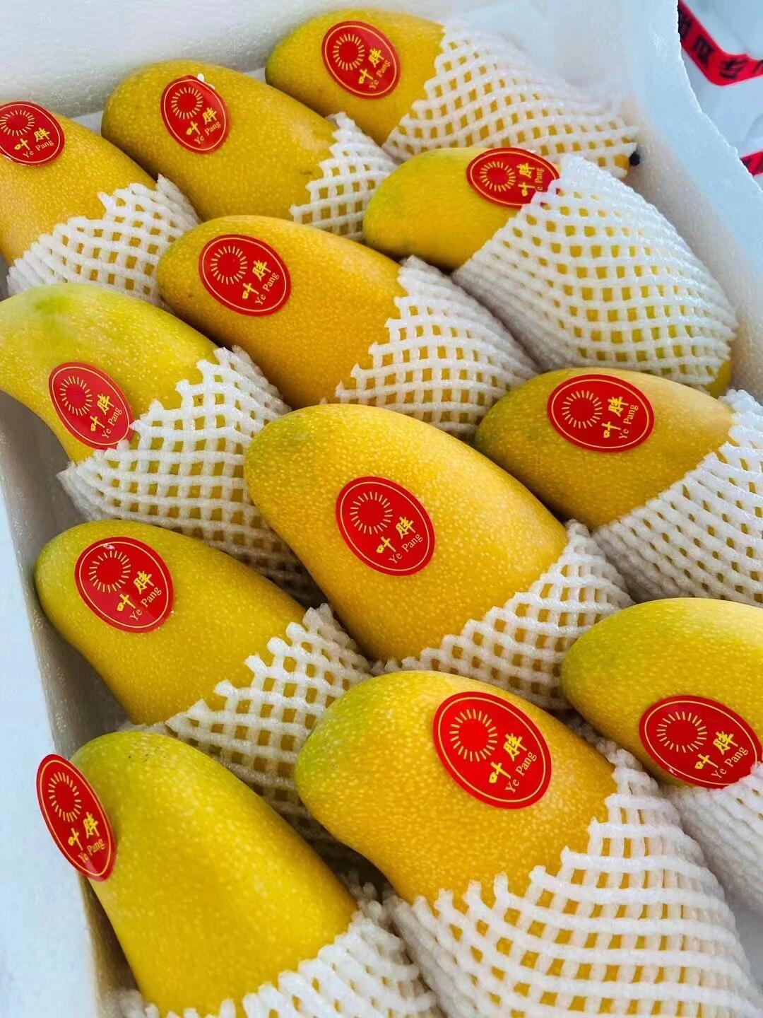 水仙芒🥭 继续到新🔥 全是胖嘟嘟的大果😍 配图3