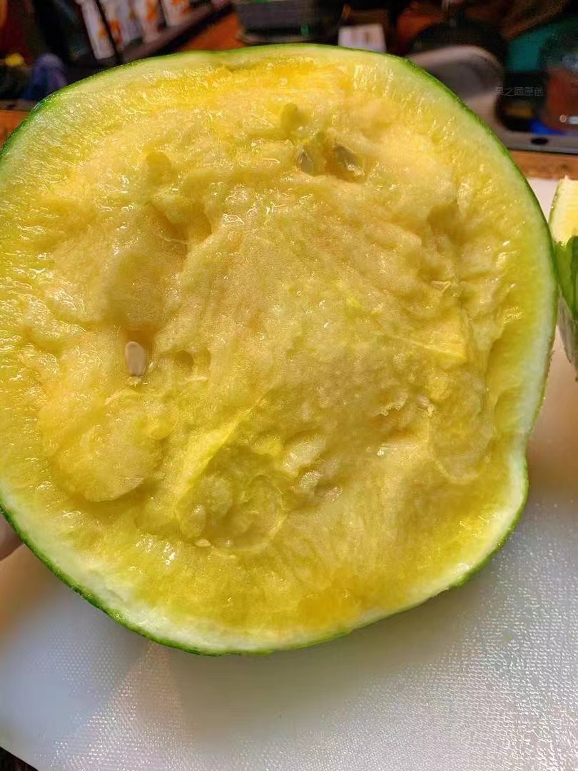 💛🍉吃瓜福利‼️ 🈶️【特小凤西瓜】小小 配图2