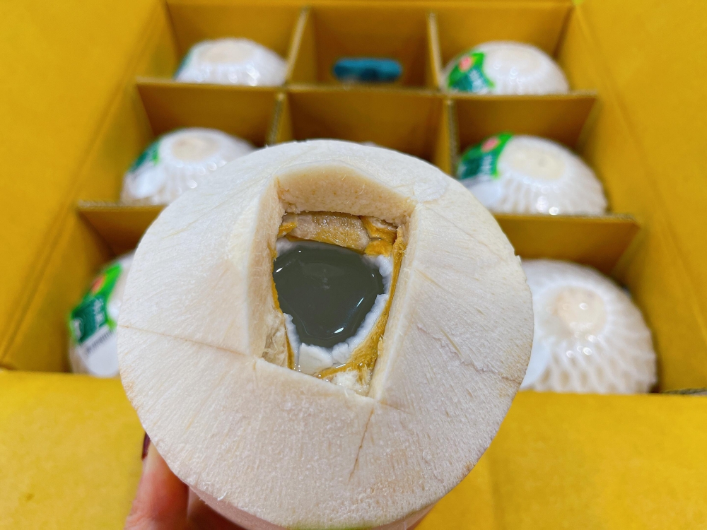 超爱喝的椰青🥥 泰国椰青🥥比SK2还补水